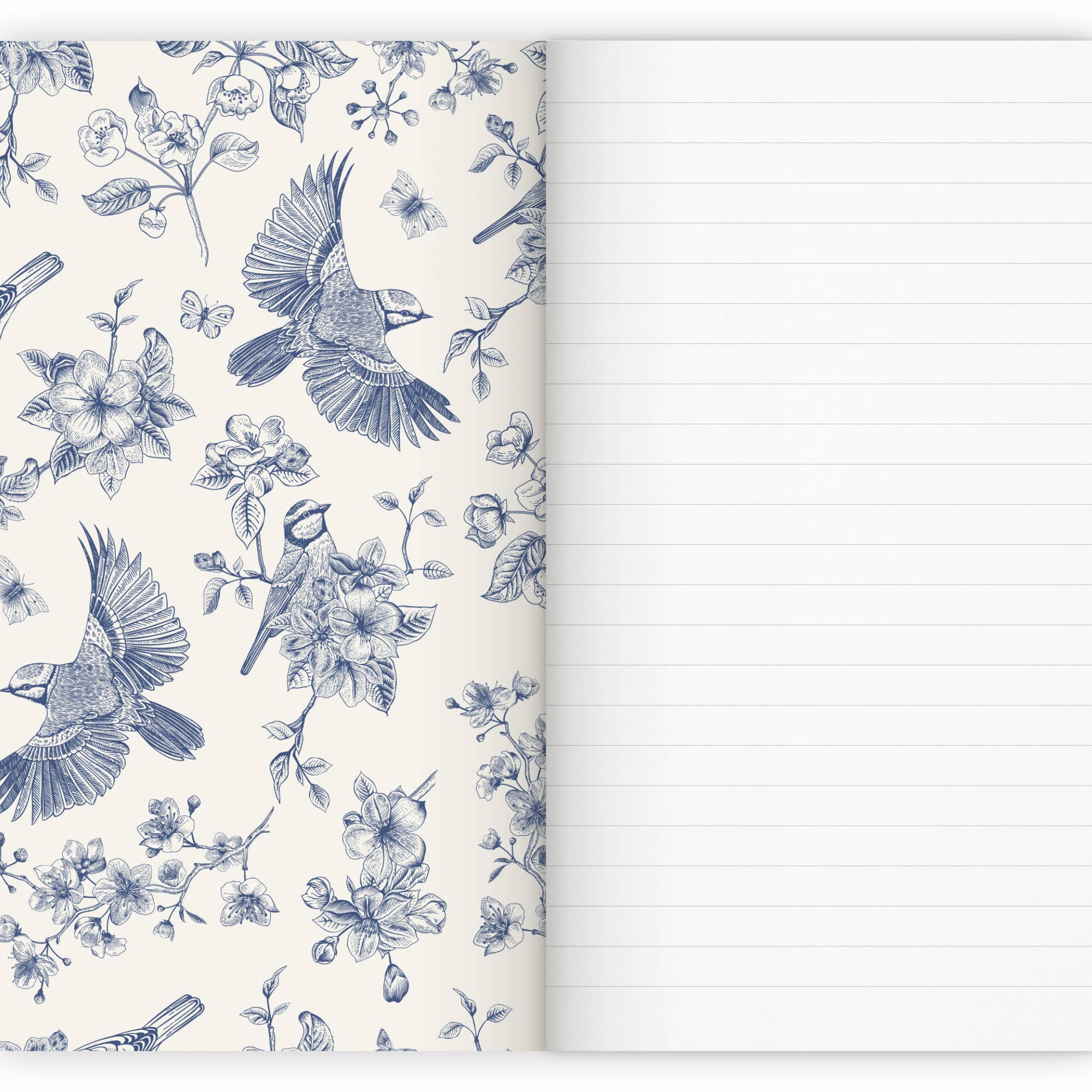 Carnets Birds & Butterflies - Lot de 3